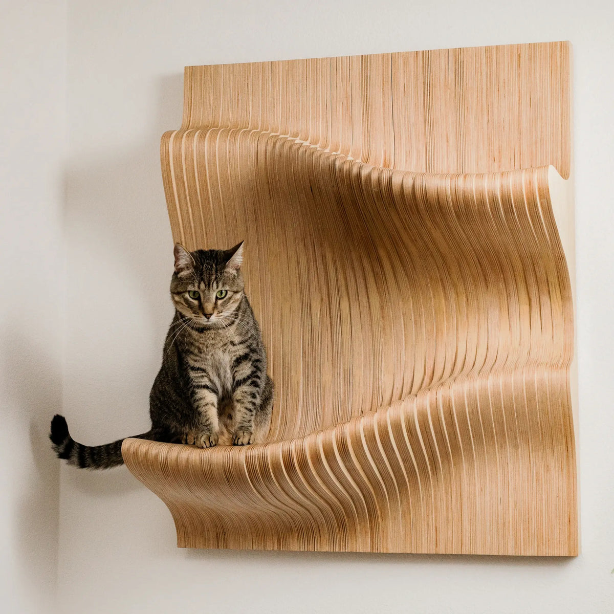 You'd Hang These On Your Walls Even If You Didn't Have A Cat