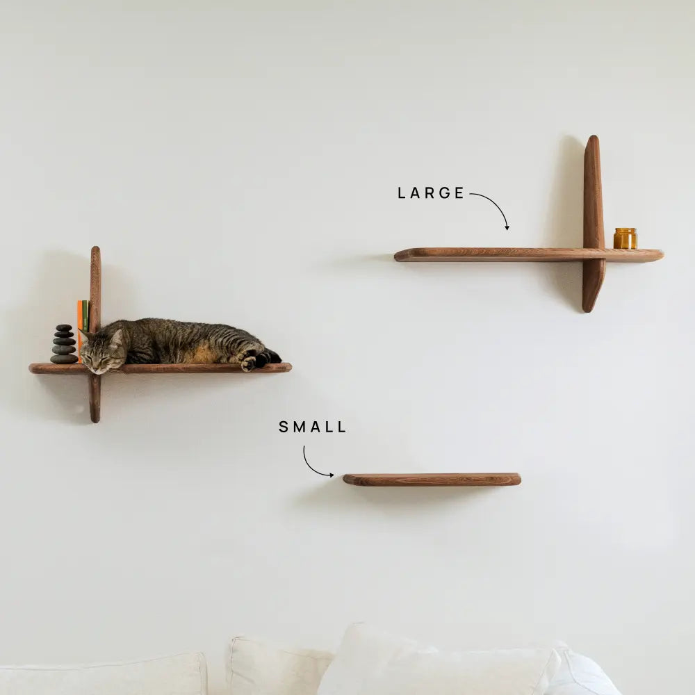 Walnut / Large