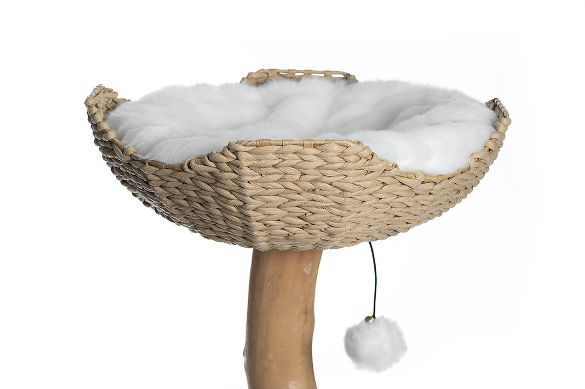 Natural Basket (Customize)