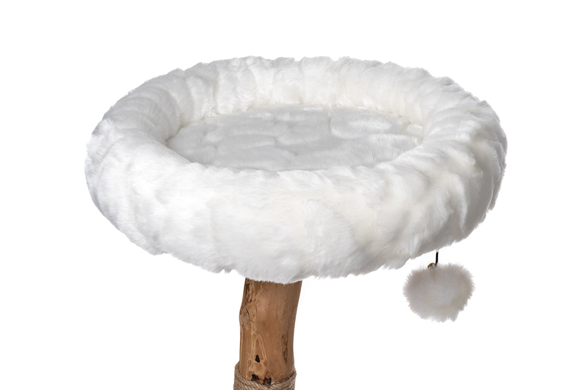 Cotton White