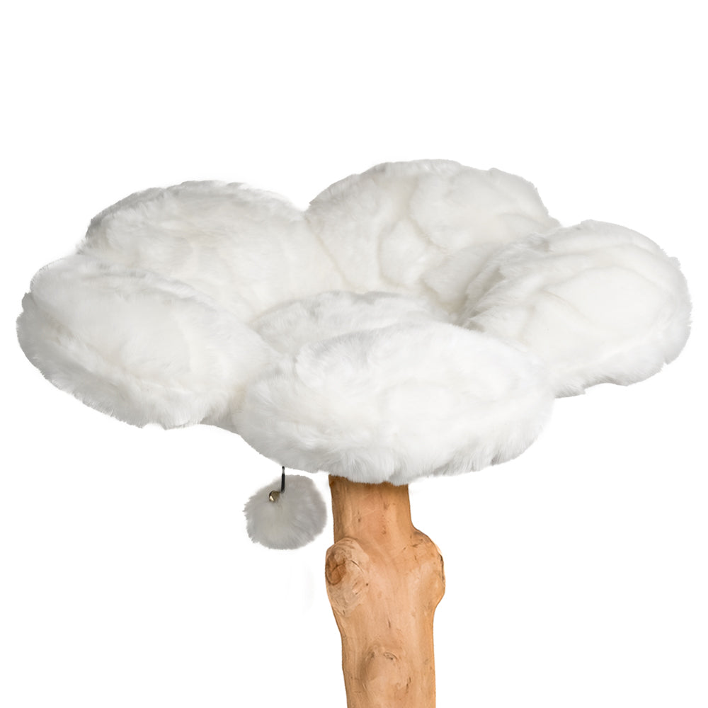 Cotton White