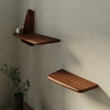 Walnut / Small