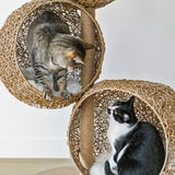 Lua Scratching Post