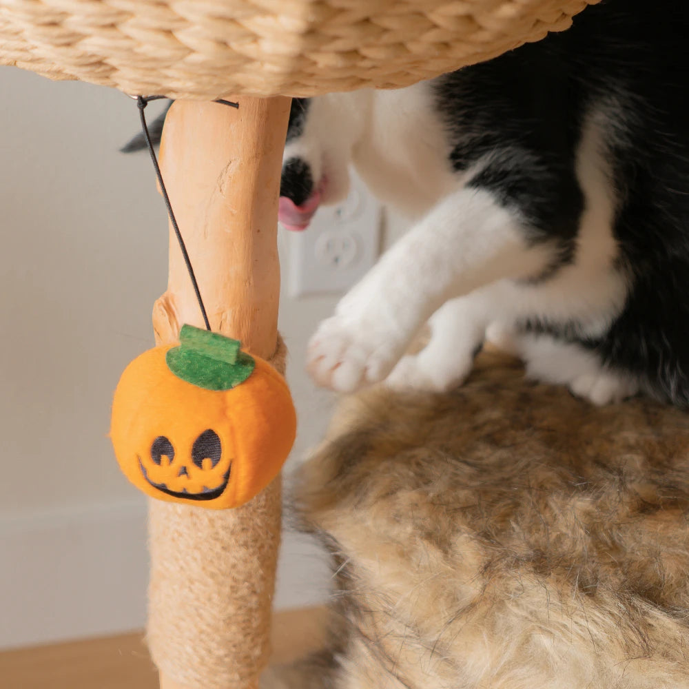 Silly & Scaredy